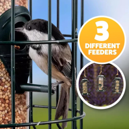 Marco Paul Squirrel Proof Seed Fat Ball and Nut Bird Feeder 3 Pack - thumbnail 4