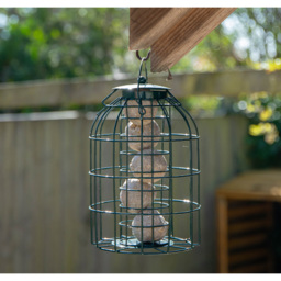 Samuel Alexander 2 Pack Metal Hanging Bird Feeder with Squirrel Guard and Suet Fat Ball 6 Pack - thumbnail 3