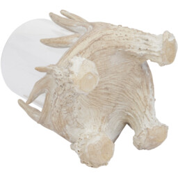 Natural Antler Candle Holder - thumbnail 4