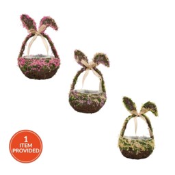 Bunny Ears Natural Basket - thumbnail 1