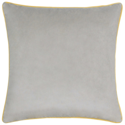 Paoletti Meridian Dove Cylon Velvet Cushion
