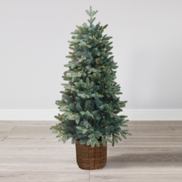 4ft Blue Spruce Pre-lit Potted Artificial Christmas Tree - thumbnail 2