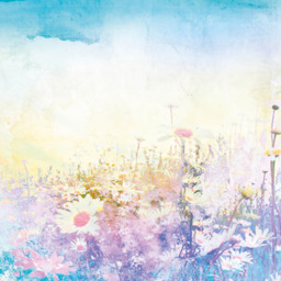 Origin Murals Oversized Feathers Multicolour Wall Mural - thumbnail 2