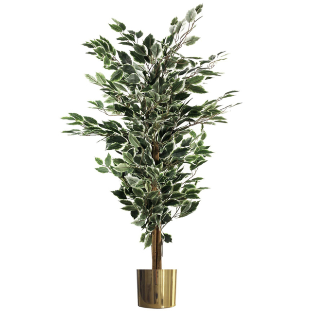 Leaf White Edge Bushy Ficus Leaf Artificial Plant with Gold Metal Planter 130cm - image 1