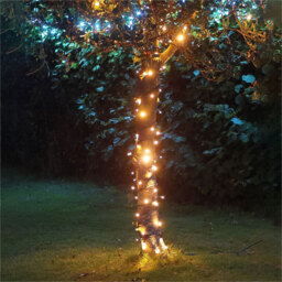 Eagle Connect 40 Gold LED String Light 5m