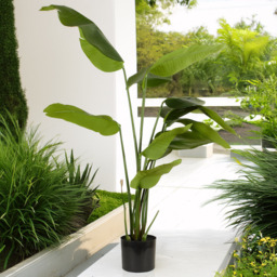 Green Travellers Artificial Palm Tree 150cm - thumbnail 2