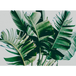 A.S Creation Palm Fronds 1 Digital Wall Mural - thumbnail 2