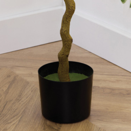 LED Orange Tree Green - thumbnail 3