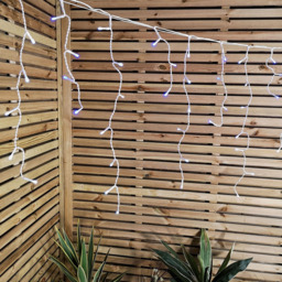 Samuel Alexander Mains Powered 1000 Blue and White LED Frosted Icicle White String Light 25m - thumbnail 3