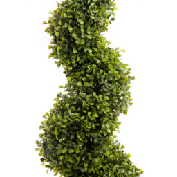3ft Boxwood Spiral Topiary Tree - thumbnail 2