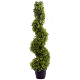 3ft Boxwood Spiral Topiary Tree - thumbnail 1