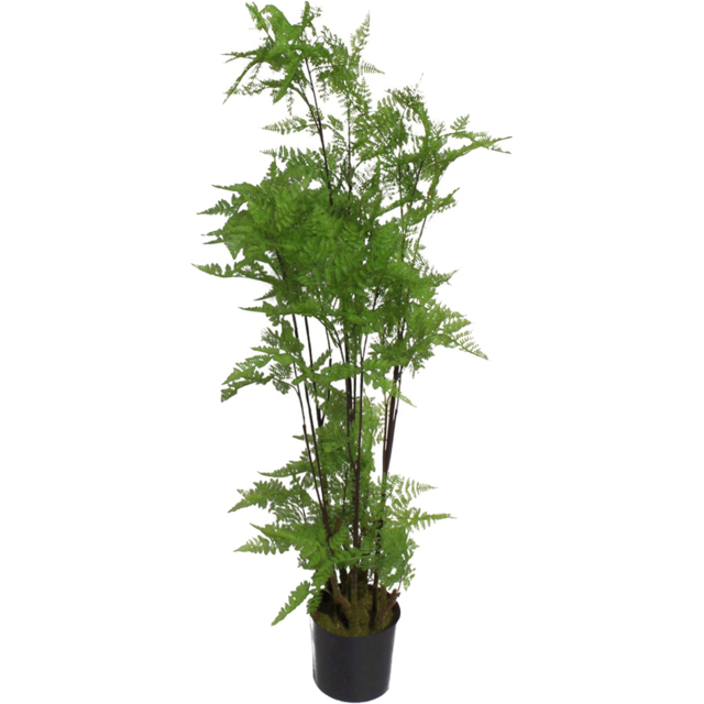 Leaf Natural Moss Base Fern Foliage Artificial Plant in Plastic Pot 5ft - image 1