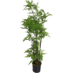 Leaf Natural Moss Base Fern Foliage Artificial Plant in Plastic Pot 5ft - thumbnail 1