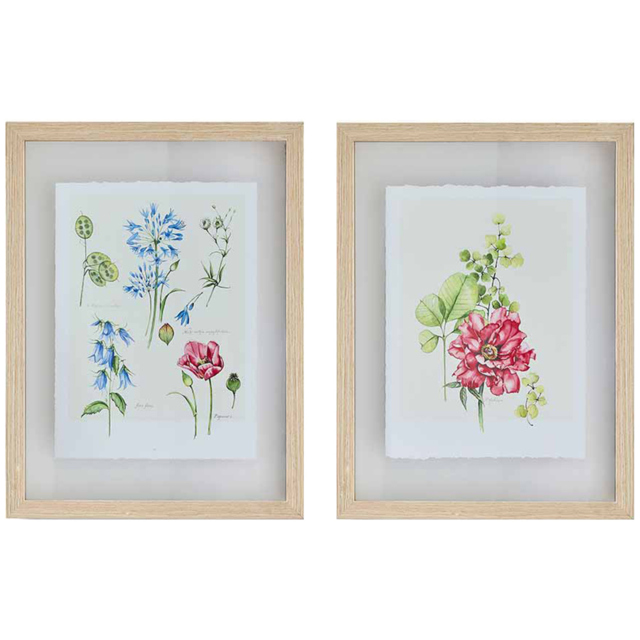Art For The Home Fleur Studies Set of 2