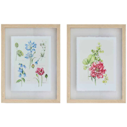 Art For The Home  Fleur Studies Set of 2