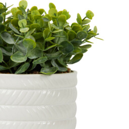 Single Faux Grass In Pot 7.5cm in Assorted styles - thumbnail 3