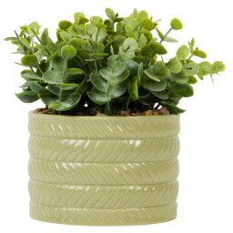 Single Faux Grass In Pot 7.5cm in Assorted styles - thumbnail 4