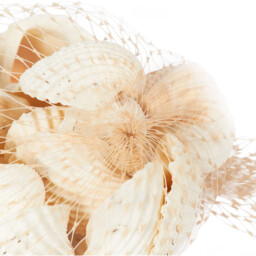 Natural Shells in Net Bag 458g - thumbnail 4