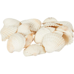 Natural Shells in Net Bag 458g - thumbnail 2