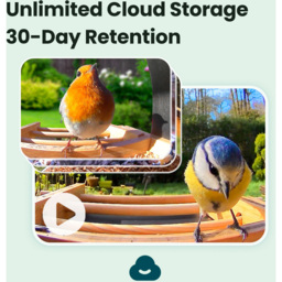 Birdfy Bamboo Solar Roof Smart Bird Feeder with 1080p AI Camera - thumbnail 2