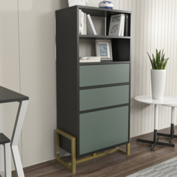 Decorotika Utopie Black and Green 3 Cabinet and 2 Shelf Modern Bookshelf