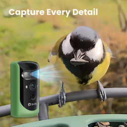 Birdfy 2 Pro Solar Smart Bird Feeder with AI Camera - thumbnail 3