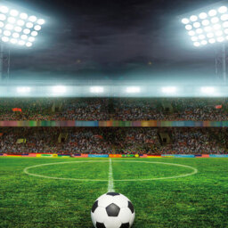 Origin Murals Football Stadium Green Wall Mural - thumbnail 2