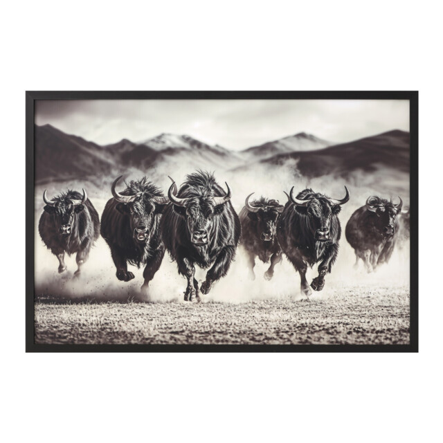 Black Charging Bisons Framed Gloss Art - image 1