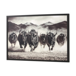 Black Charging Bisons Framed Gloss Art - thumbnail 2