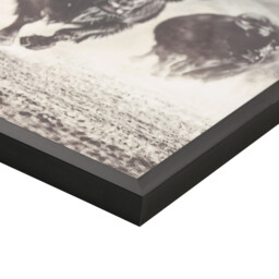 Black Charging Bisons Framed Gloss Art - thumbnail 4