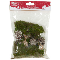 Moss and Snowy Pinecone Bundle Large - Green and Brown - thumbnail 1