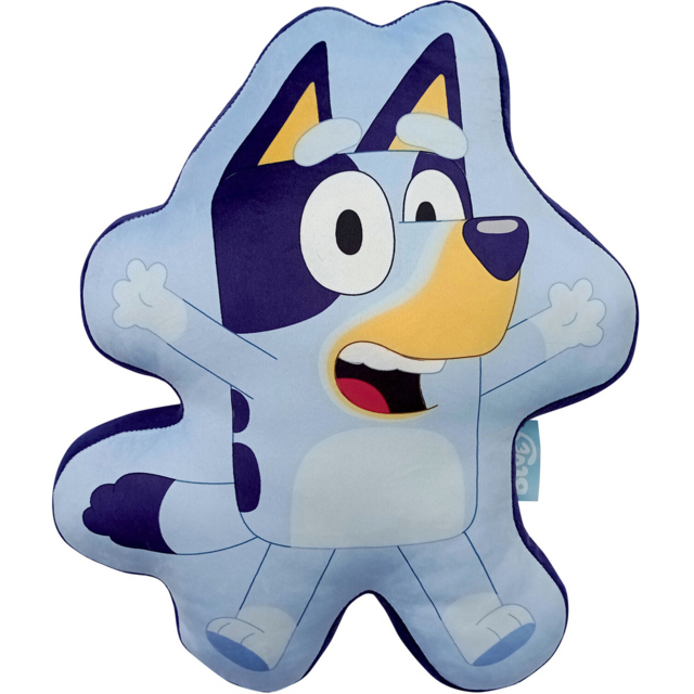 2 in 1 Bluey and Bingo Reversible Cushion - image 1