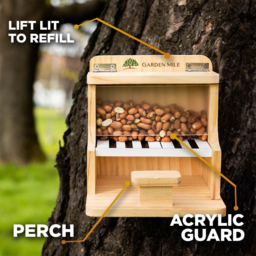 Marco Paul Piano Bird Feeder - thumbnail 4