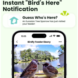 Birdfy Ebony Lite Wi-Fi Solar Smart Bird Feeder with 1080p FHD AI Camera - thumbnail 4