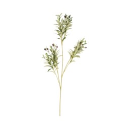 Green Faux Olive Artificial Single Stem - thumbnail 2