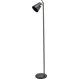Pacific Lifestyle Theia Brushed Brass Black Floor Lamp - thumbnail 1