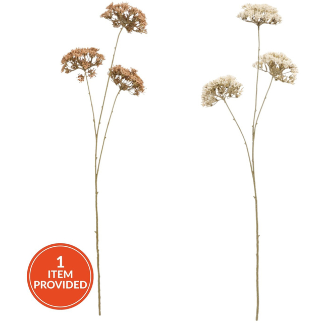 Queen Annes Lace Decorative Stem - image 1