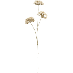 Queen Annes Lace Decorative Stem - thumbnail 3