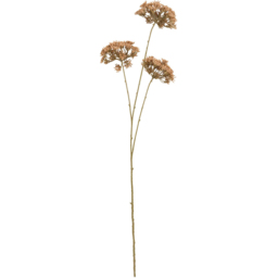Queen Annes Lace Decorative Stem - thumbnail 2