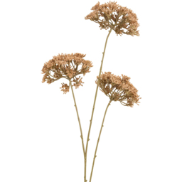 Queen Annes Lace Decorative Stem - thumbnail 4