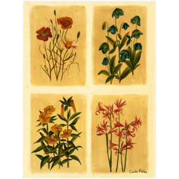 Laura Ashley Antique Flowers Black Frame Wall Art 50 x 70cm - thumbnail 4