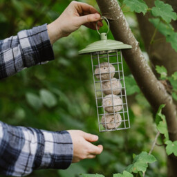Peckish Canto Energy Ball Feeder - thumbnail 3