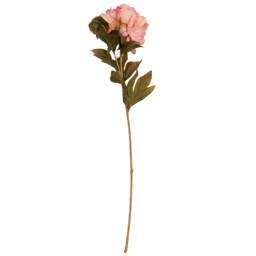 Single Open Peony Single Stem Artificial Flower 67cm in Assorted styles - thumbnail 4