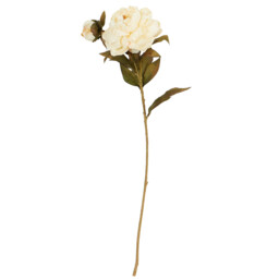 Single Open Peony Single Stem Artificial Flower 67cm in Assorted styles - thumbnail 1