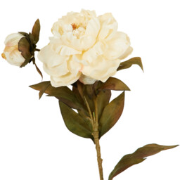 Single Open Peony Single Stem Artificial Flower 67cm in Assorted styles - thumbnail 3