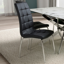 Shankar Jenner Set of 2 Black and Chrome Leather Dining Chair
