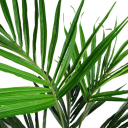 Leaf Kentia Palm Artificial Tree 130cm - thumbnail 2