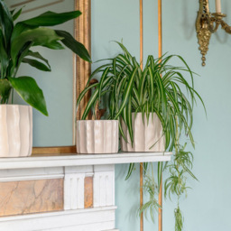Ivyline Kew Cream Ceramic Organic Ripple Bone Matt Satin Glaze Indoor Planter 17cm - thumbnail 2