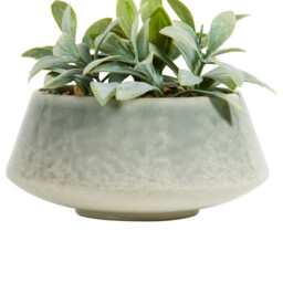 Faux Senecio in Reactive Glaze Pot - Green - thumbnail 4