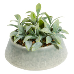 Faux Senecio in Reactive Glaze Pot - Green - thumbnail 1